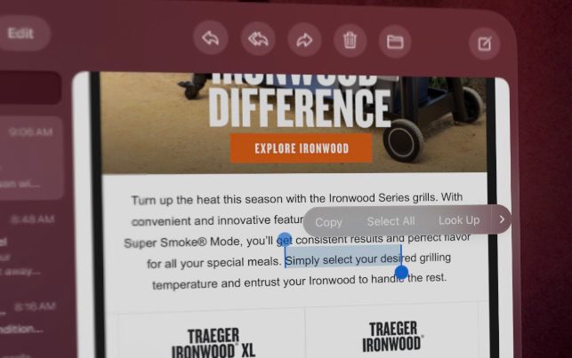 cut copy and paste text selection dialog